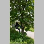 p1010139 [800x600].jpg